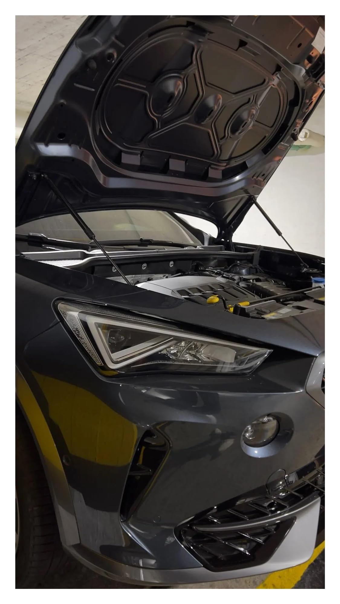 Pistoncini per Cupra Formentor 2020-2025 Cofano Anteriore Modifica A Gas Supporti Sollevamento Ammortizzatore Pistone Biella Cilindri Molle a Gas(Black Carbon Fiber)