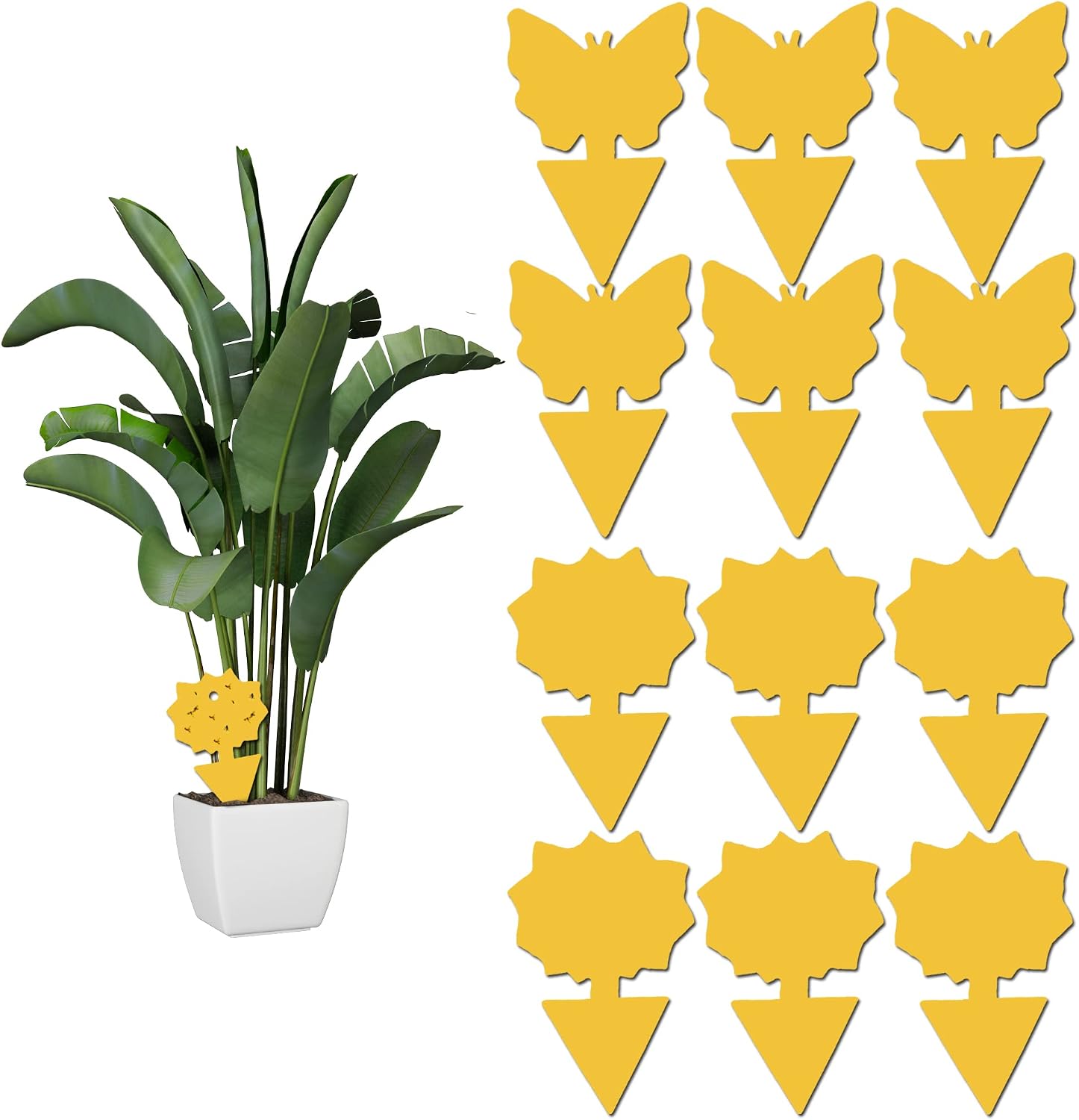 12 pack Sticky Fruit Fly and Fungus Gnat Trap Yellow Sticky Fly Traps Insect Killer for Houseplant indoor and outdoor plants