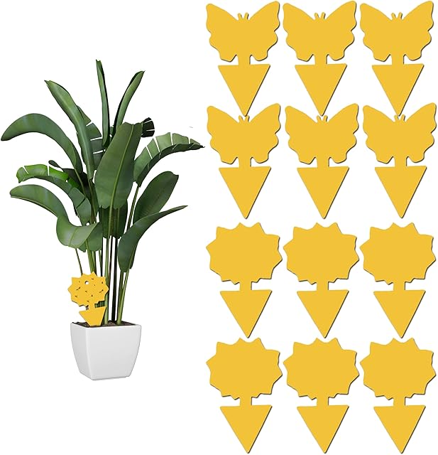 12 pack Sticky Fruit Fly and Fungus Gnat Trap Yellow Sticky Fly Traps Insect Killer for Houseplant indoor and outdoor plants