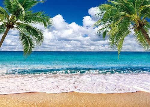 Summer sea Backdrop Tropical Beach Plants Photo Backdrop Hawaiian Ocean Blue Sky Background for Theme Party Supplies Studio Props 12692(7x5FT)