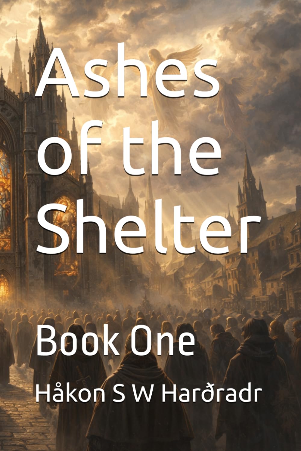 Ashes of the Shelter: Book One (The Holy Paladin Trilogy)
