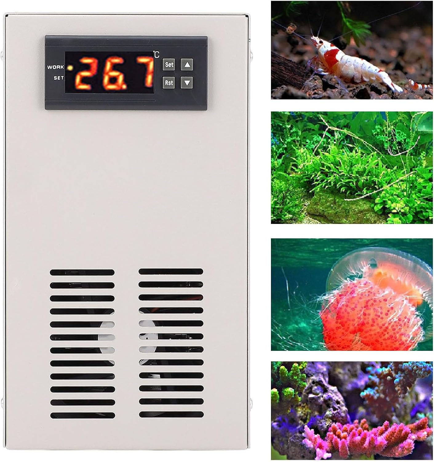 デジタルチラー