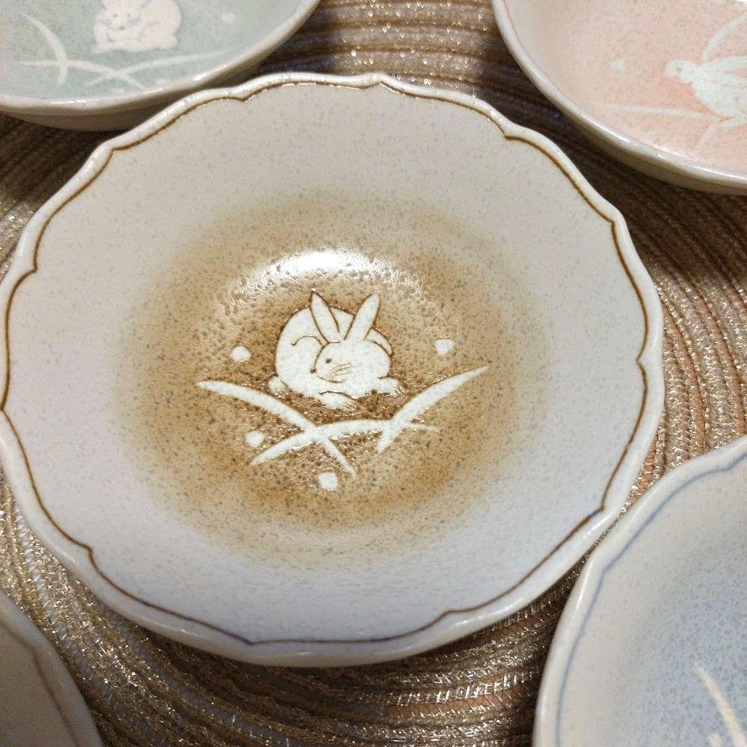 兎柄　大皿10枚セット ☆新品未使用☆ うさぎ柄 食器セットの通販 by ♡chamomile