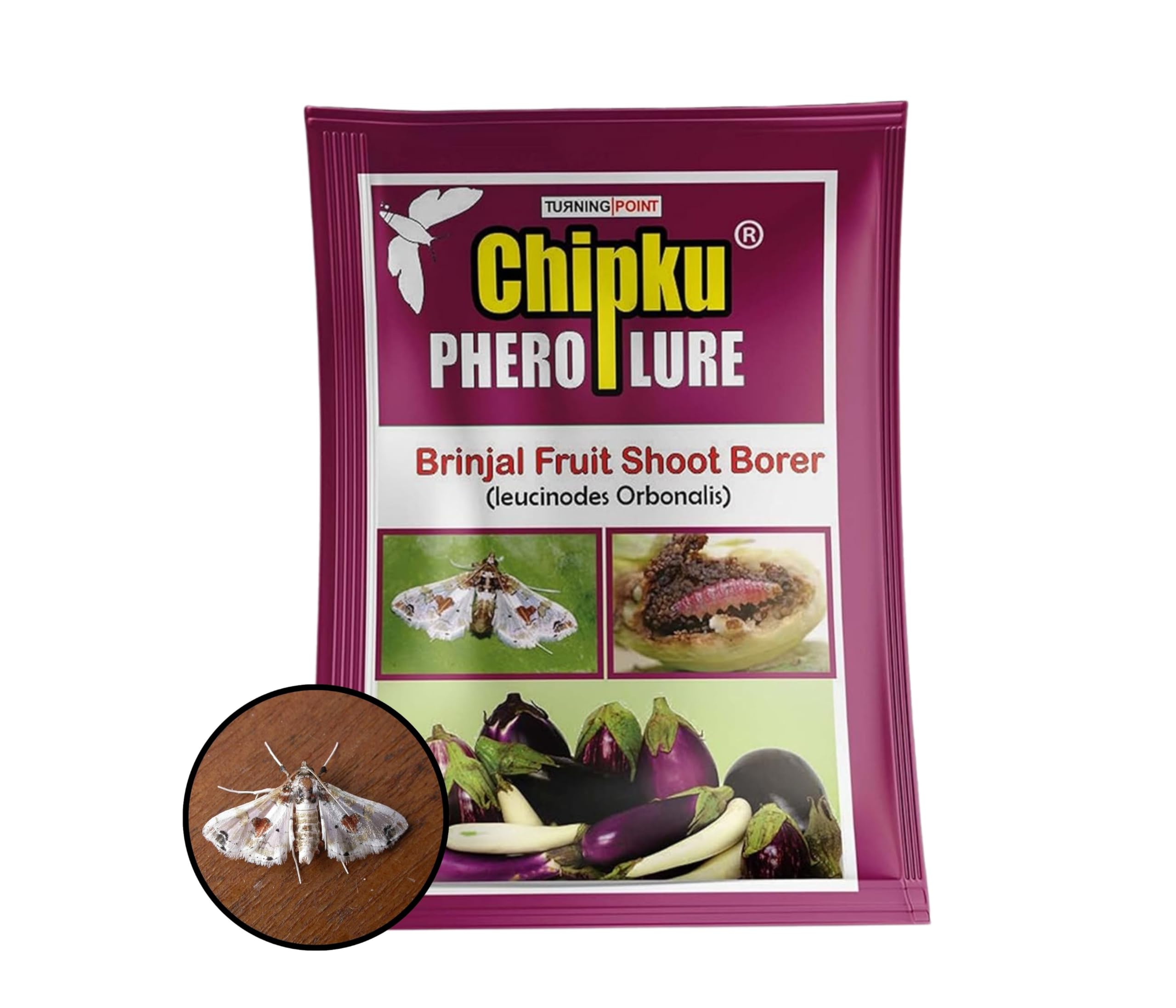 Chipku-Pheromone Lure for Brinjal Fruit Borer(Leucinodes Orbonalis) Pack of 10