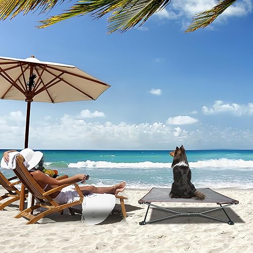 Miniatura 6 de unp Cama elevada para perros al aire libre - Cama para perro plegable de 19 x 19 x 10 pulgadas, funda de felpa lavable y bolsa de transporte - Cuna