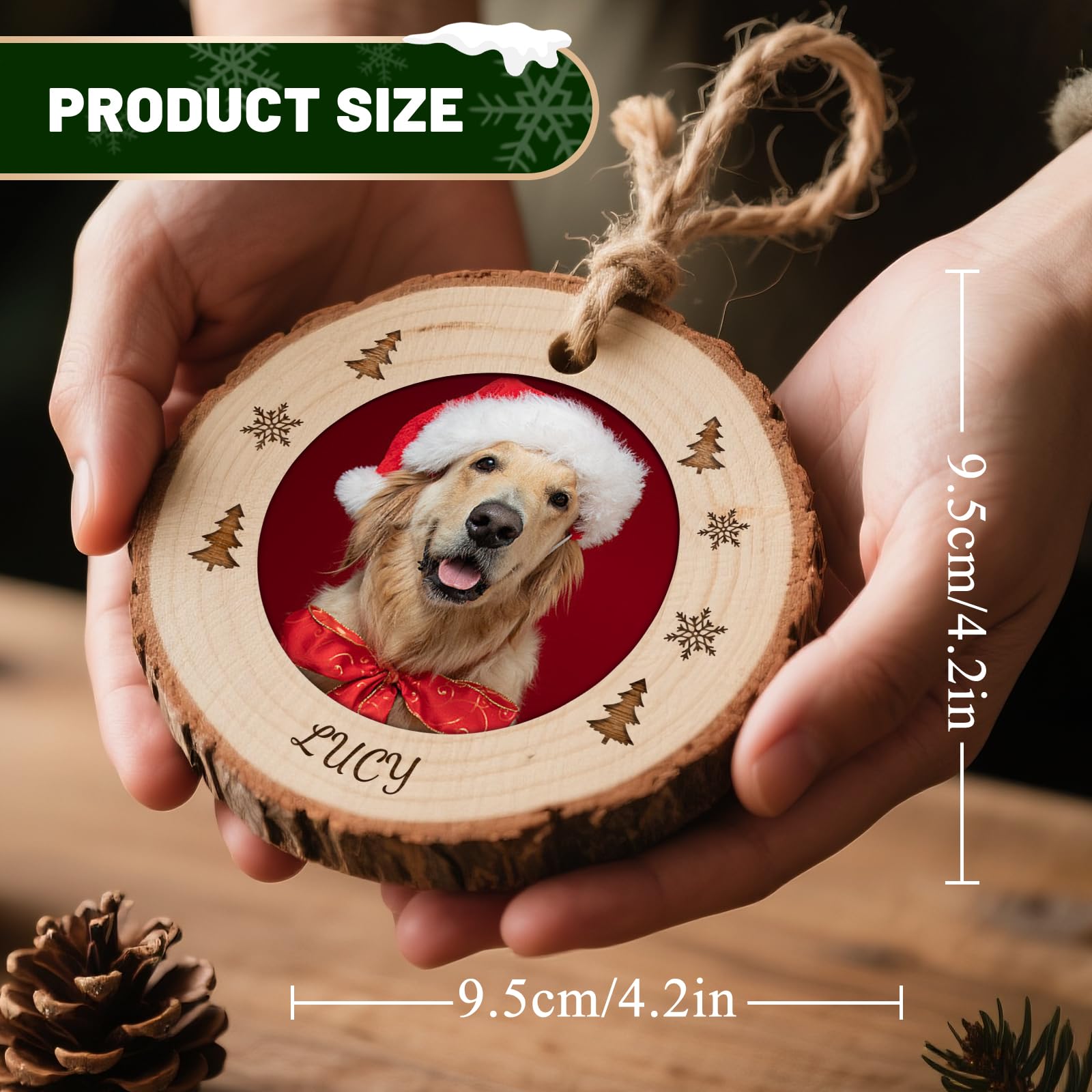 View 7
