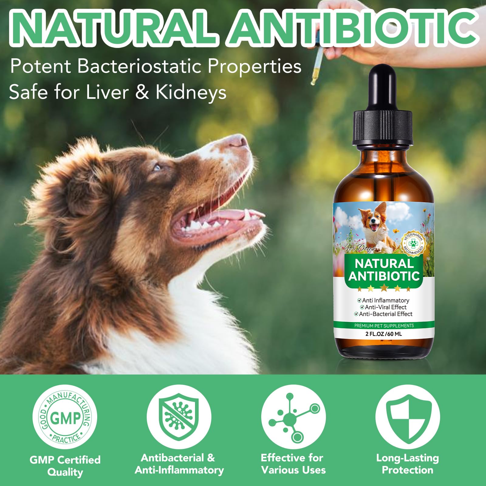Hund Antibiotika, Natürliche Antibiotika für Hunde 60ml, Antibiotika für Hunde, juckende Haut Relief, Unterstützt Allergie Relief, Hund Antibiotika für Haut Infektion - Bacon Flavor - 2 Stück