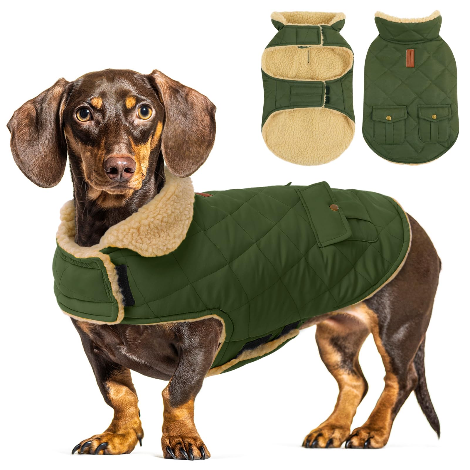 CITÉTOILE Dog Winter Coat Windproof Dog Jacket Green XL