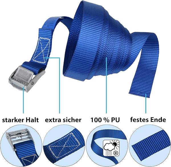 Spanngurte Zurrgurt | TÜV geprüft | Spanngurt Befestigungsgurt mit Klemmverschluss | Blau | Belastbar bis 250 kg | Diverse Längen Stückzahlen - 10er Pack 2.5 cm x 2.5 m - 3