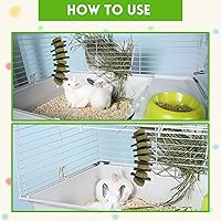 Vista 4 de kathson Juguetes masticables para conejos, dientes de conejo, palo de madera de manzana 100 % natural orgánico, mejora la salud de los roedores