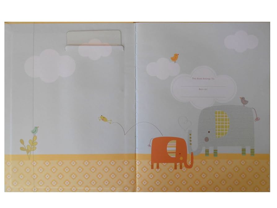 【一点限り★レア物】　bebe petracollins　洋書 一点限り☆レア物】 bebe petracollins 洋書 一点限り☆レア物