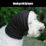 Ver la foto 6