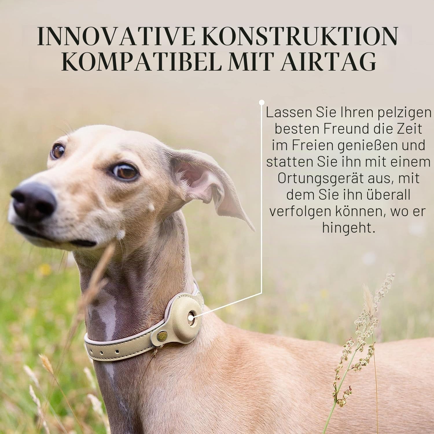 Nina Woof Cupertino Hundehalsband aus veganem Leder, gepolstert und verstellbar mit Tracker-Halterung, Beige, Größe M (Hals 38-48 cm)