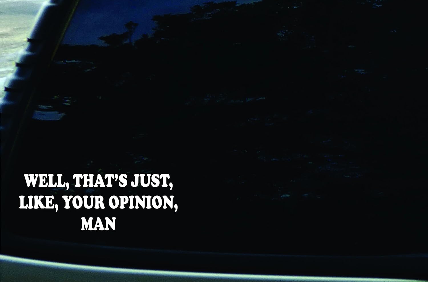 Southern Fried Decals 6" X 3" Well