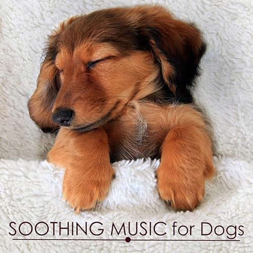 relaxing dog music for sleep