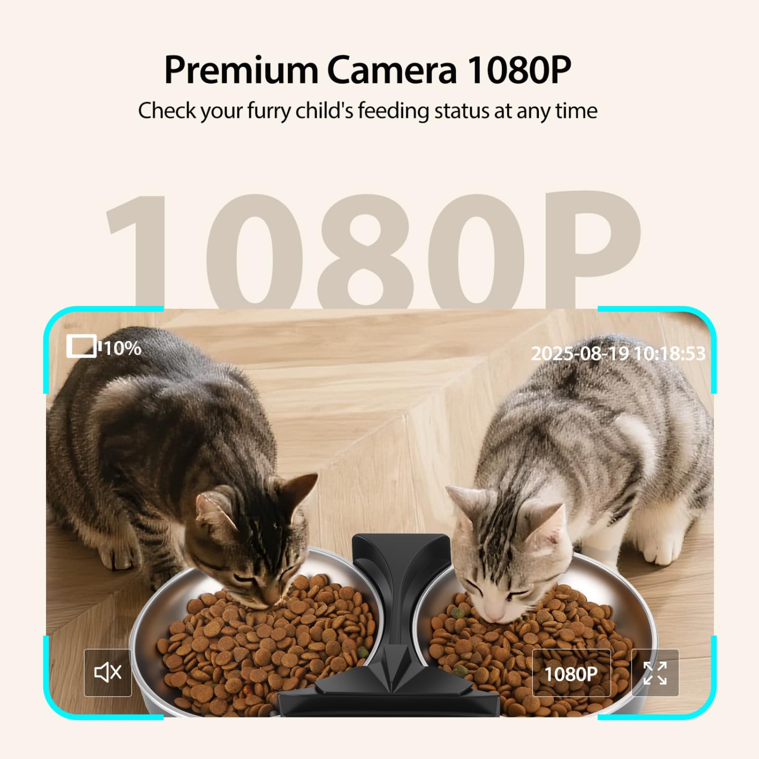 Nobleza Comedero Gato Automático 6L con Cámara 1080P 120°: App Control, WiFi 5G/2.4G, Audio Bidireccional, Llamadas Mascotas, Detección Movimiento + Sello Hermético ¡Control Remoto Total!
