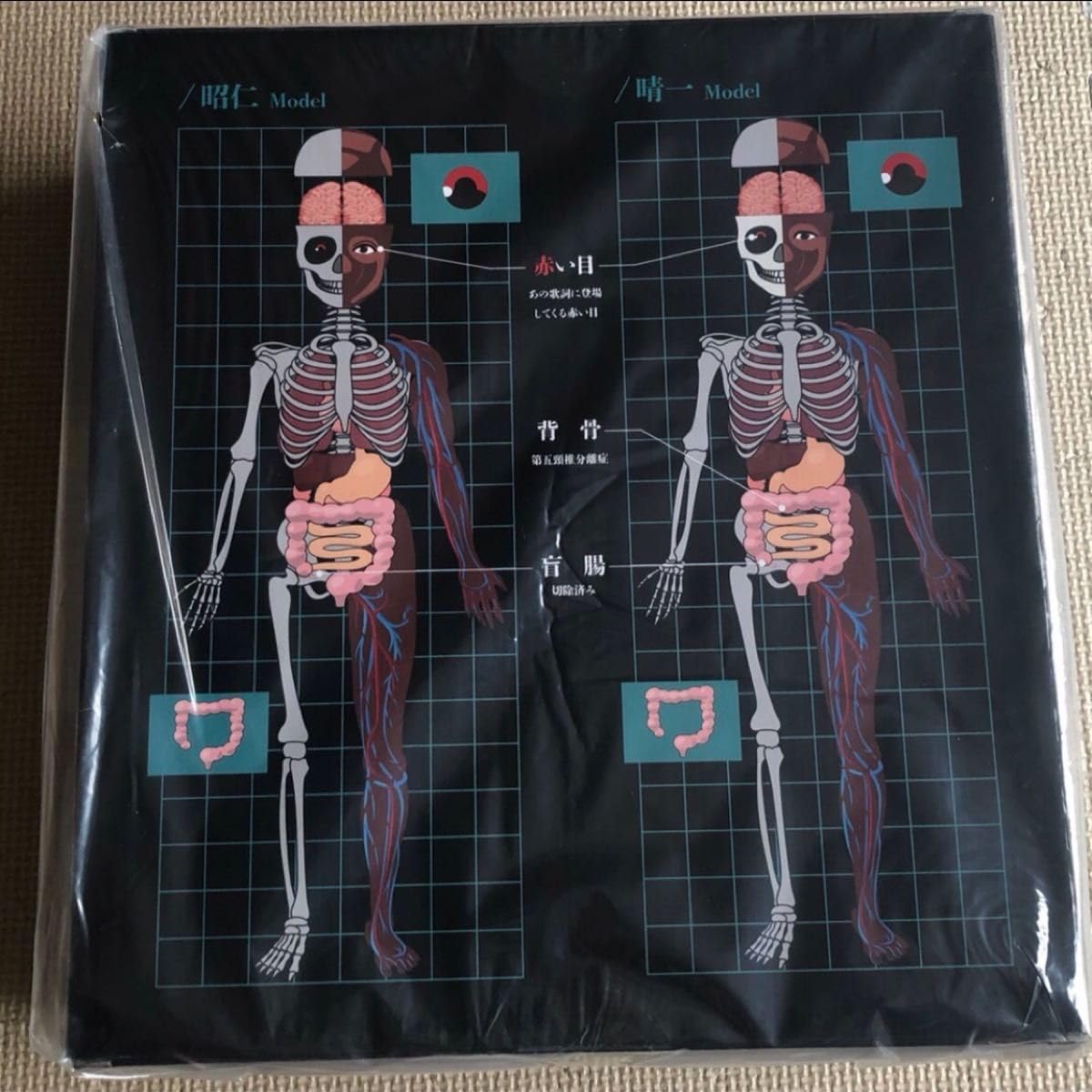 Amazon.co.jp: ポルノグラフィティ 人体模型 プラモデル 模型 : おもちゃ