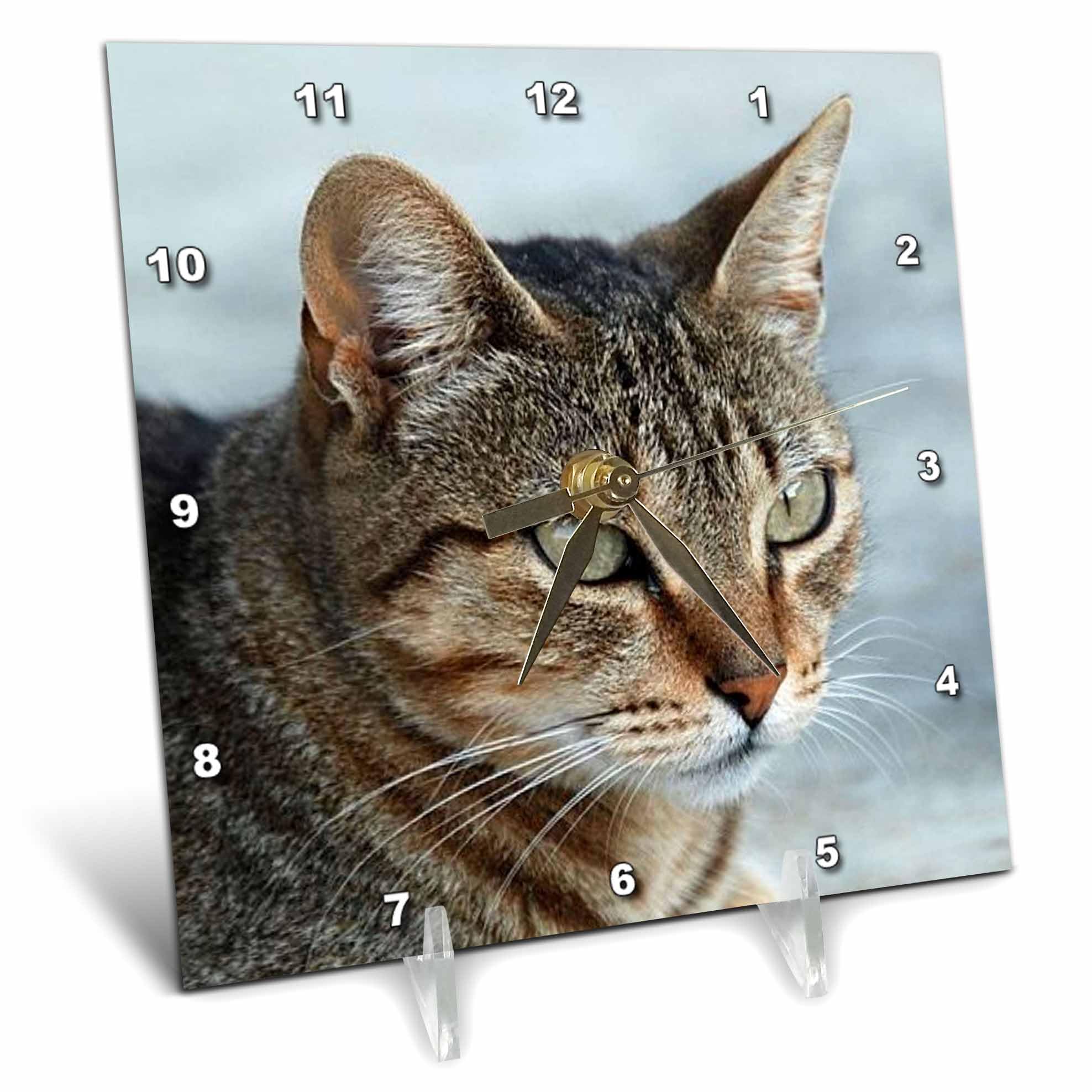 3dRose dc_16934_1 Desk Clock, Tabby Cat Portrait, 6 by 6-Inch