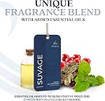 Solvère Refroidisseur jetable de carte pour hommes Air Refroidisseur avec parfum Solvère Air Rafraîchissant avec la technologie d'élimination d'odeur par Perfa