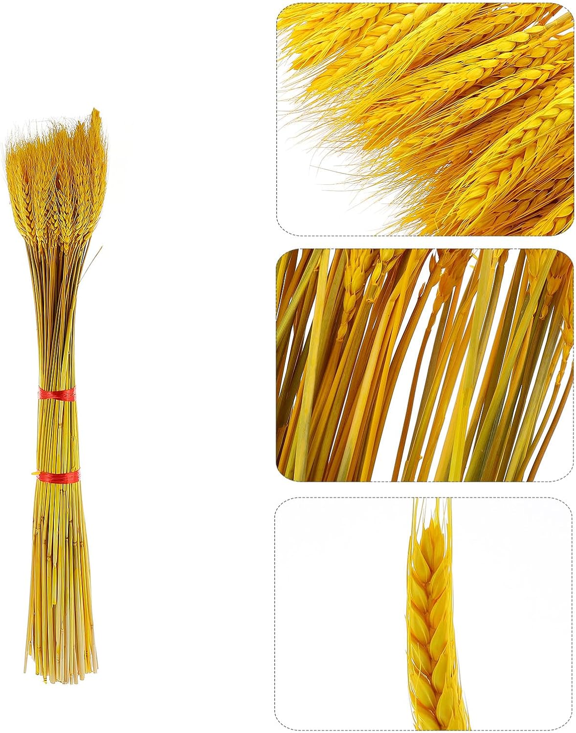 Dried Flowers Bouquet 100pcs Natural Wheat Ear Decorative Wheat Stalks Rustic Home Décor Wedding Table Centerpiece Farmhouse Style
