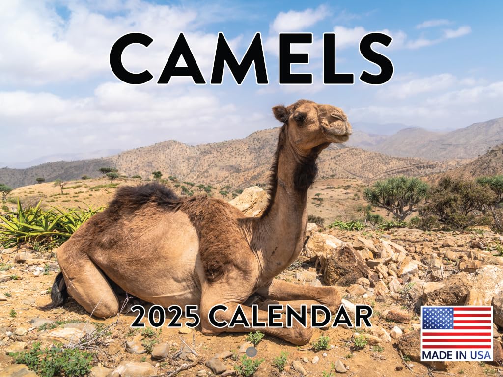 Poster FoundryCamel Calendar 2025 Wall Desert Animal | American Made In The USA