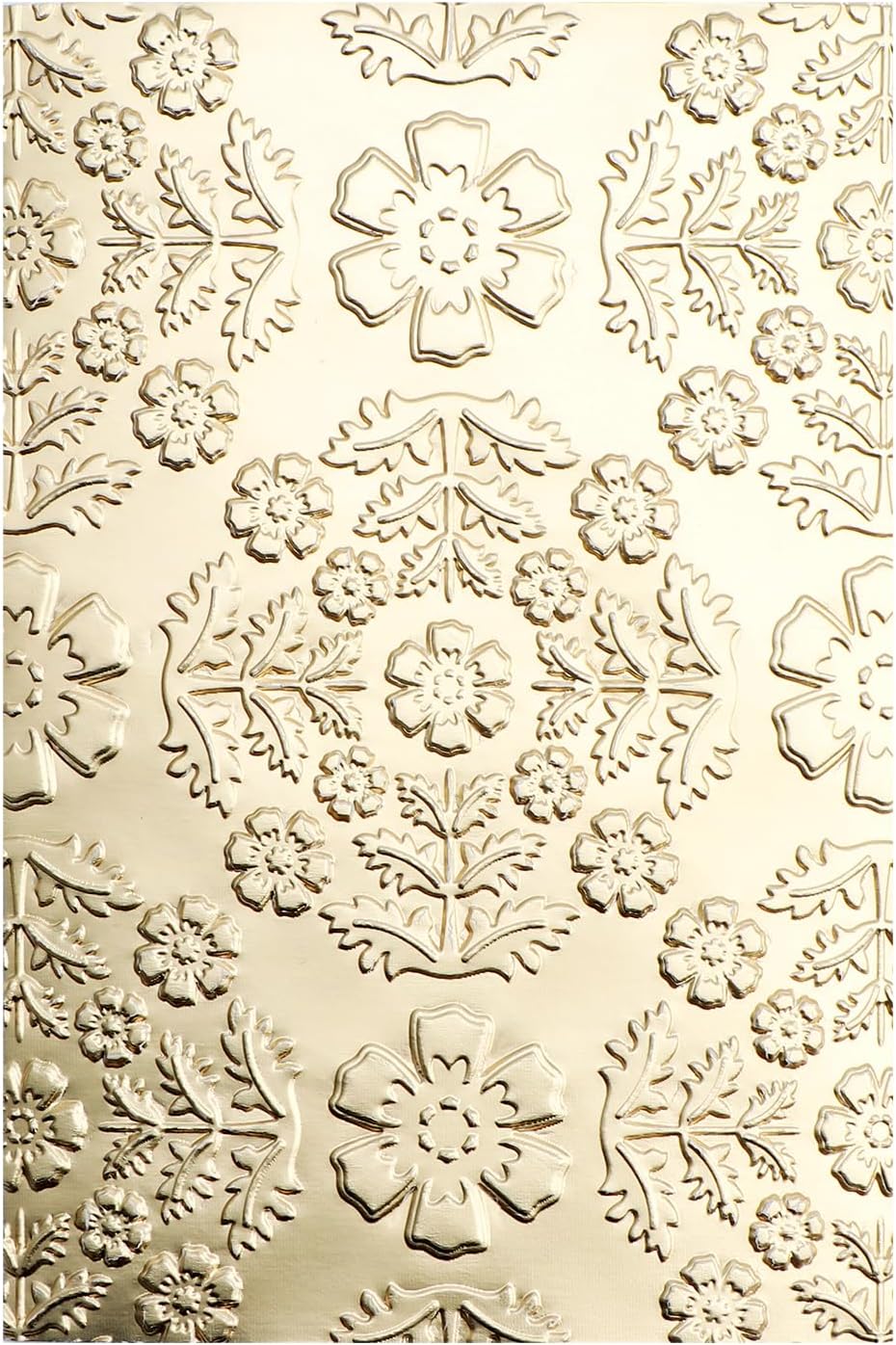 Briartw 3D Embossing Folder for Card Making Adding Textured Detail to Paper Crafting,6.3x4.5inch Clear Plastic Texture Fades Embossing Folder Template for Scrapbooking Cardstock Album DIY Decoration