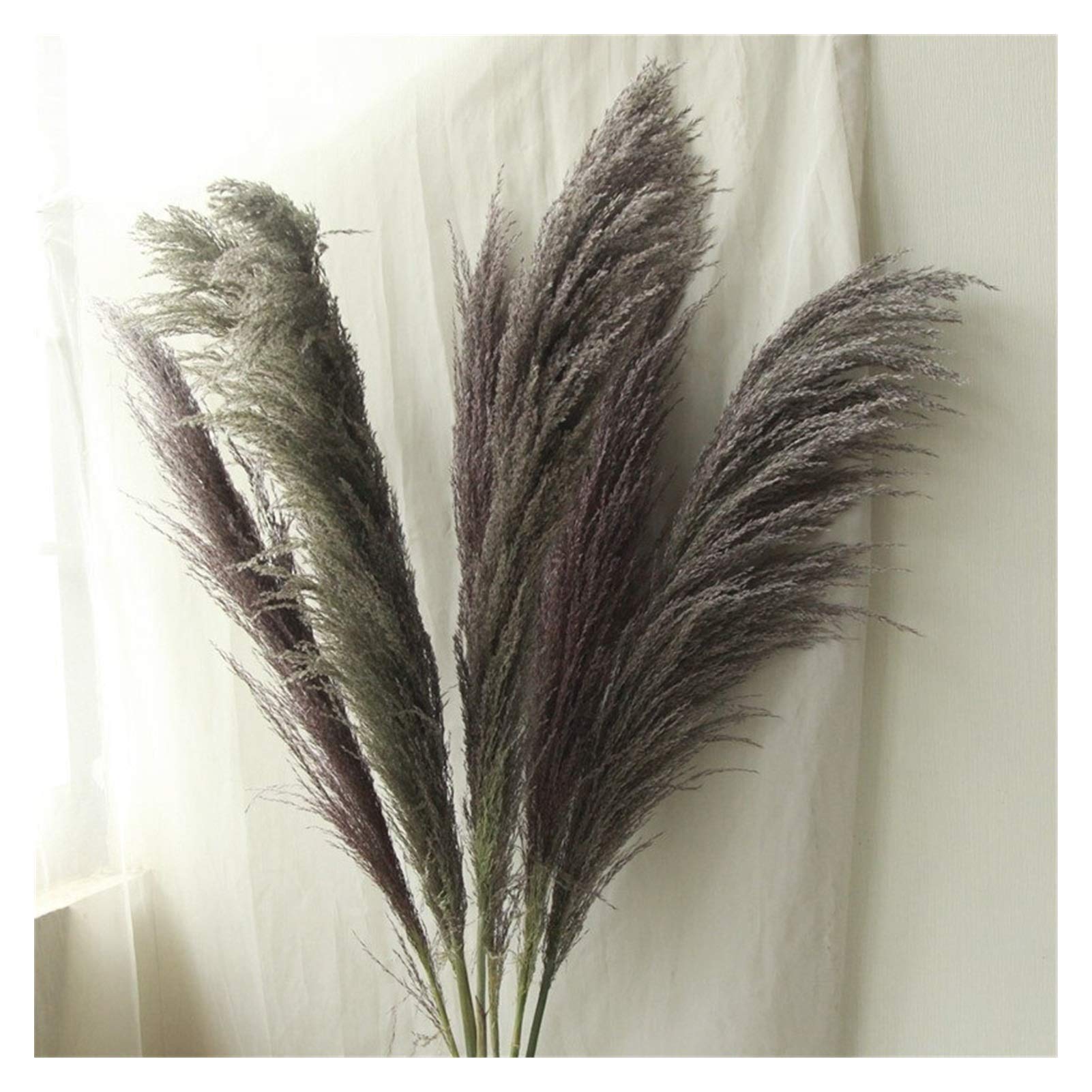 Pampasgras Deko 80cm Natürliches Schilfgetrocknet Getrocknete große Pampas Gras Bouquet DIY Hochzeit Blumenzeremonie Dekoration Modernes Wohnkultur Trockenblumen