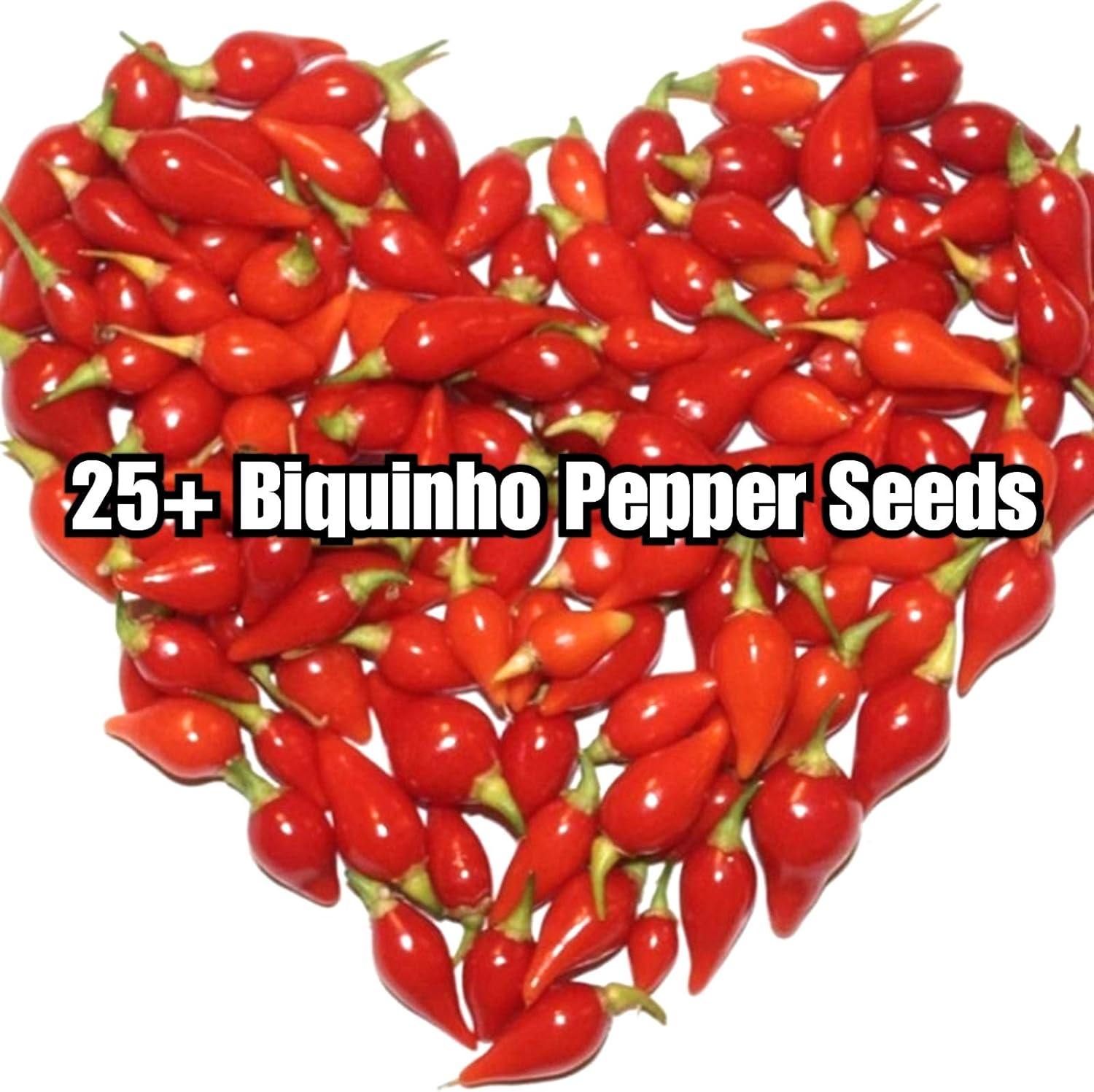 Amazon.com : 25+ Fresh Biquinho Heirloom Pepper Seeds - Sweety Drop