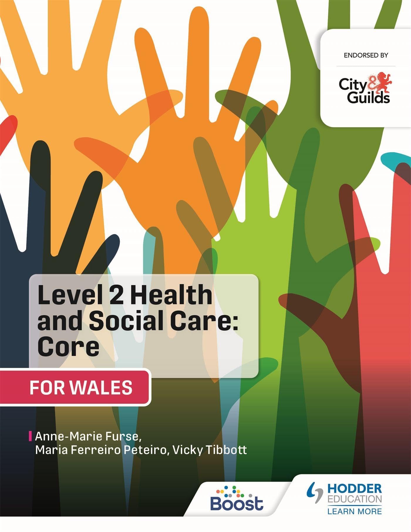 Level 2 Health and Social Care Core for Wales by Anne-Marie Furse PAPERBACK
