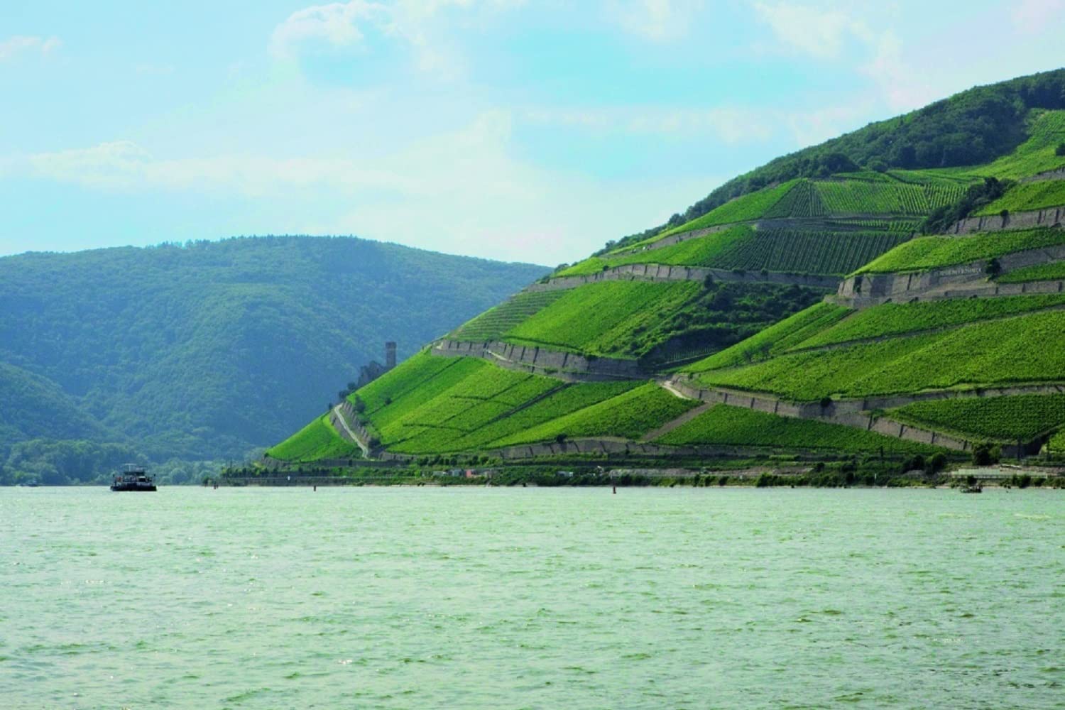 Weingut Georg Breuer Rüdesheim Estate Riesling trocken Qualitätswein Rheingau (1 x 0.75 l) (Packung mit 3)