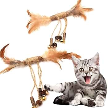 またたびページ 71QaRQ36CQL._UF350,350_QL50_.jpg