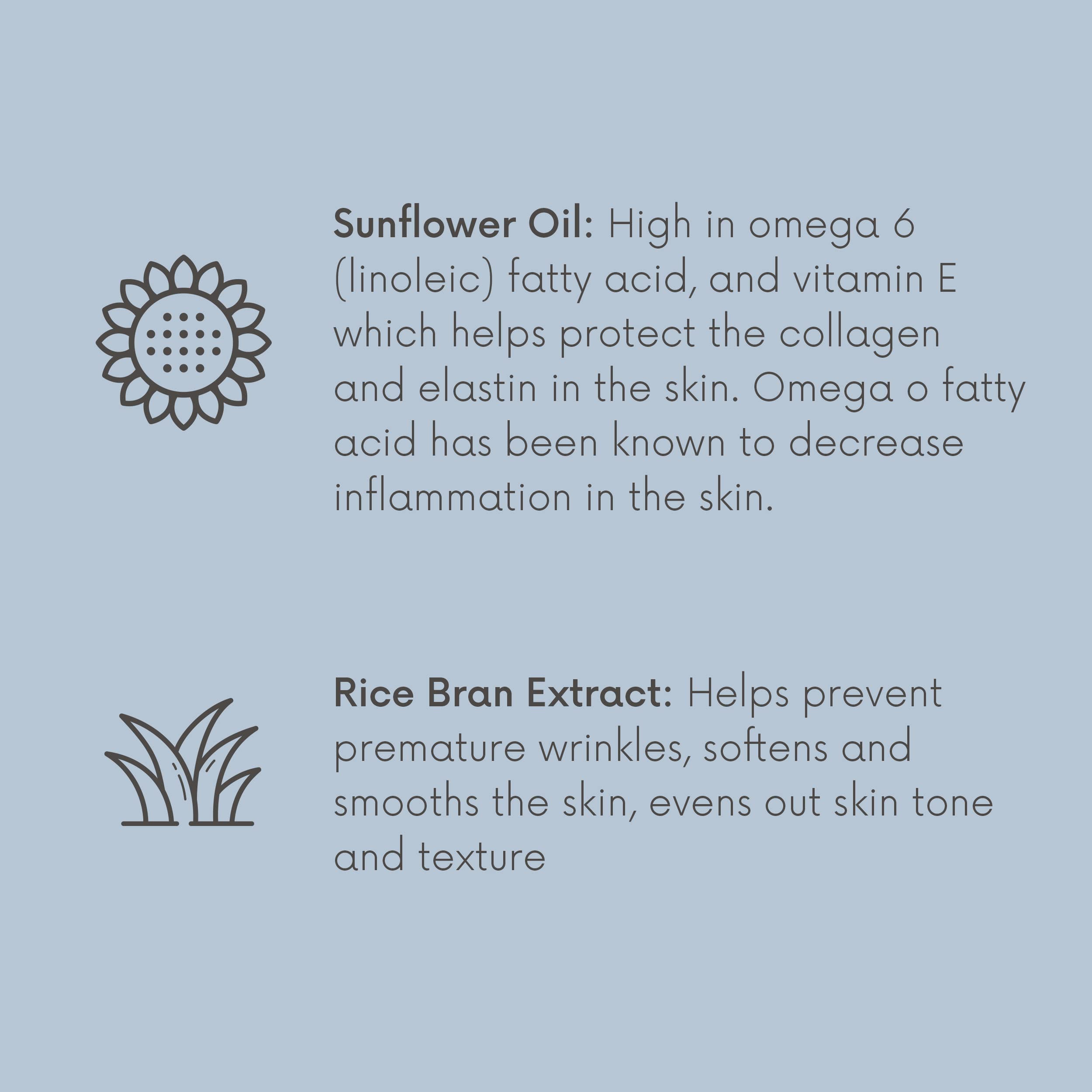 SpaRitual Fragrance Free Body Oil | Unscented Body Moisturizer for Hydration and Massage Oil | 4 oz