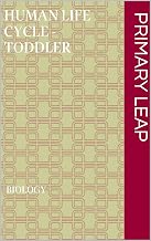 Human life cycle - Toddler
