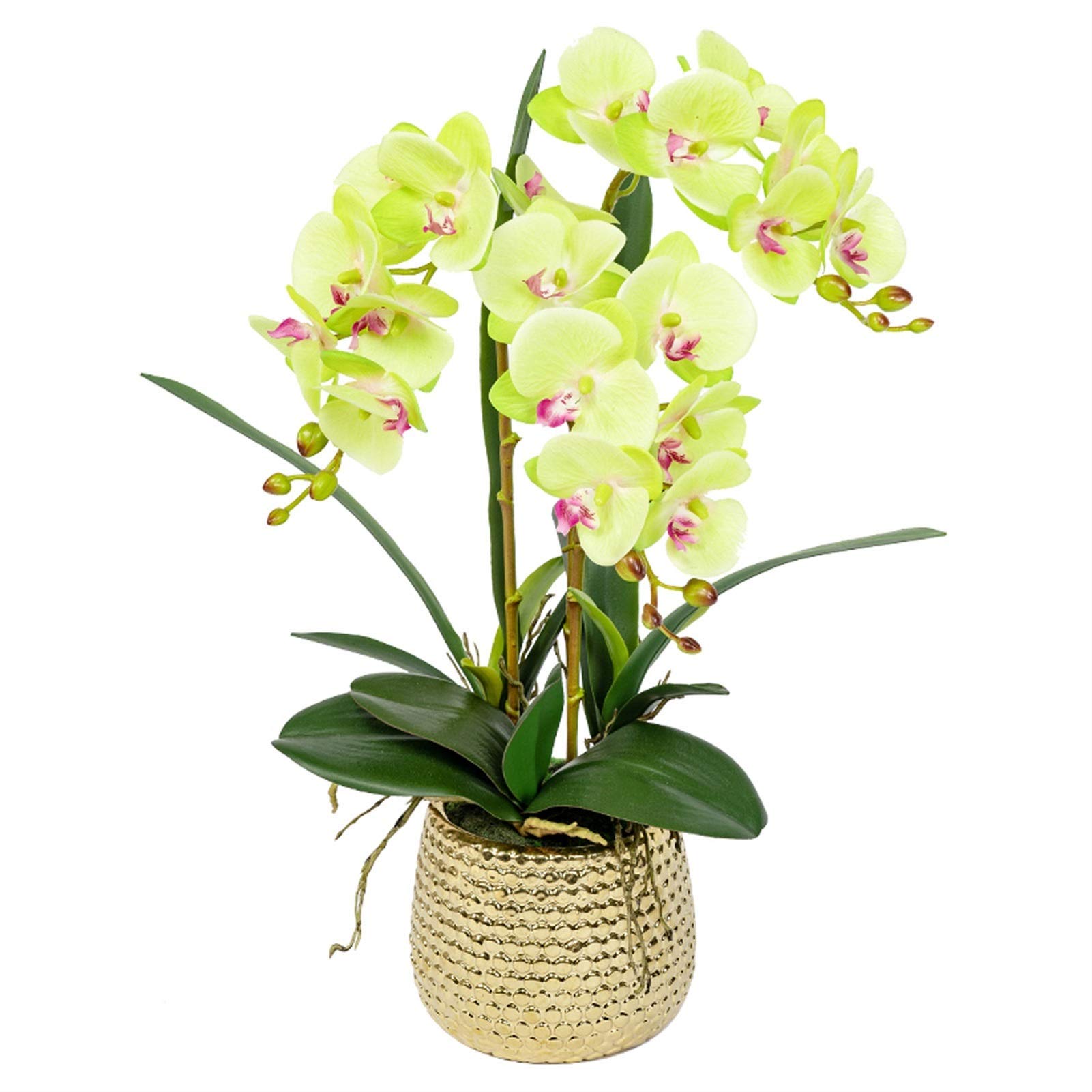 GTHTUHFD Simulation Flower Artificial Bonsai Silk Orchids Phalaenopsis With Golden Vase Fake Orchid Flowers Arrangement Romantic Dried Flower Decoration,Green