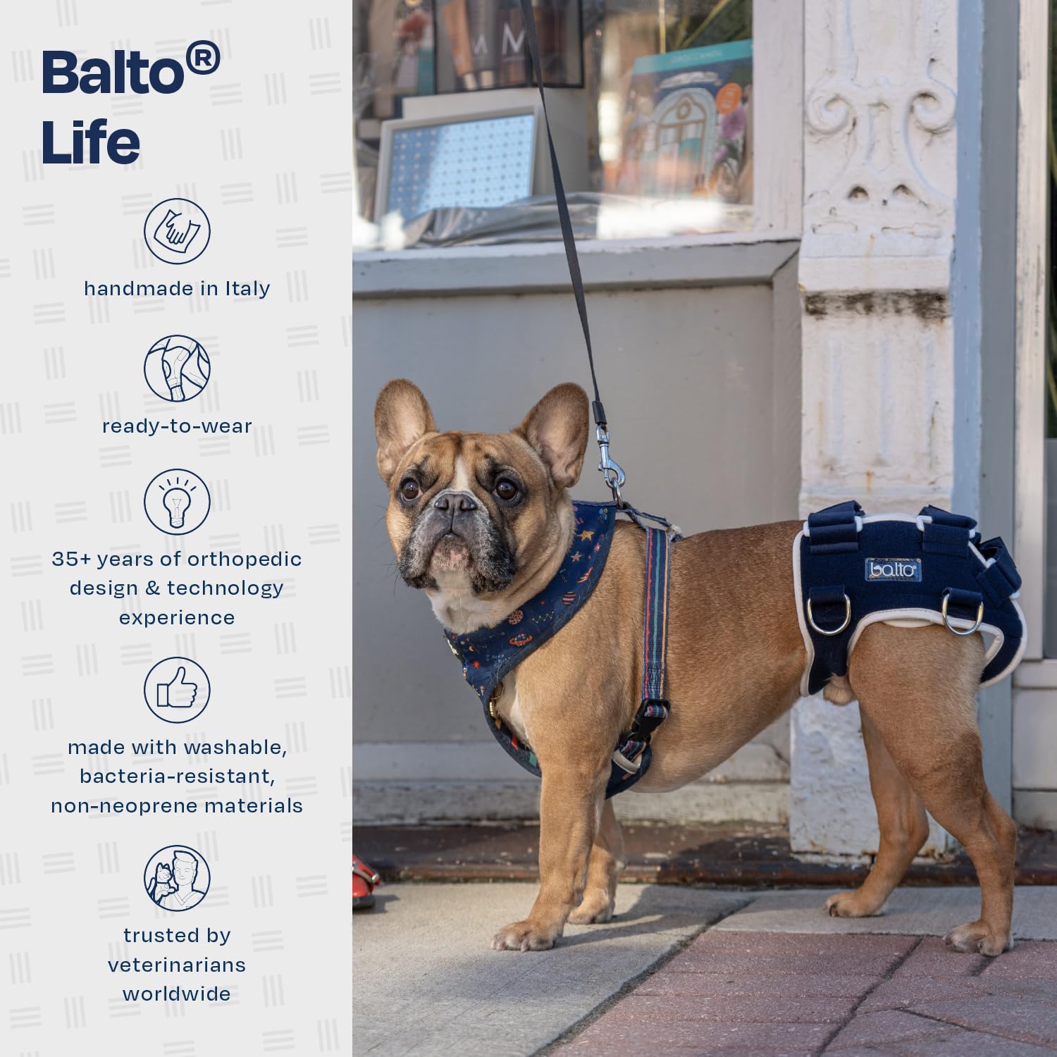 BT Life - Muñequera para displasia de la cadera (talla L)
