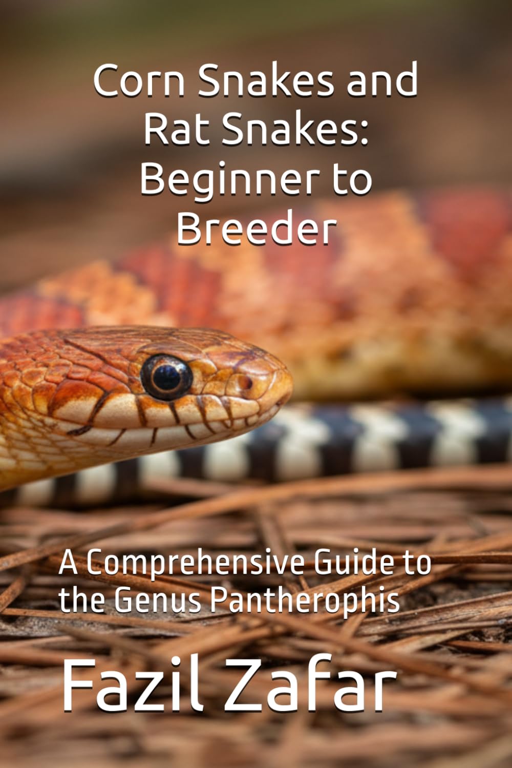 Corn Snakes and Rat Snakes: Beginner to Breeder: A Comprehensive Guide to the Genus Pantherophis