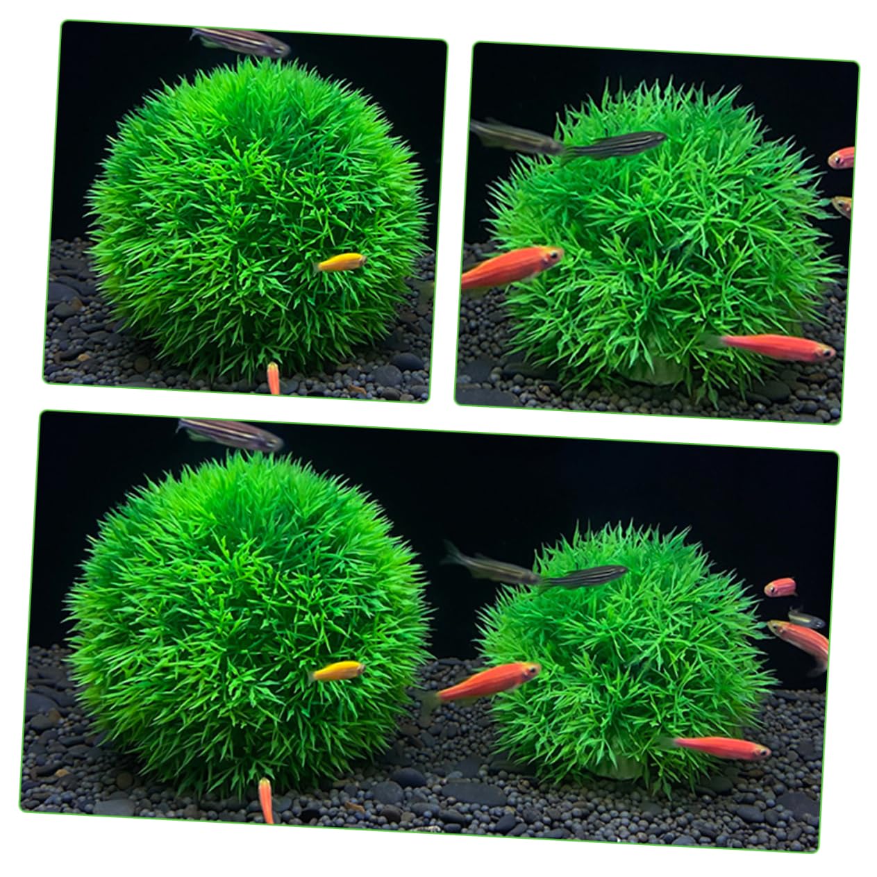 Ciieeo 4 Juegos De Plantas Artificiales para Acuario Decoración De Peceras Plantas Acuáticas Simuladas para Estanque (2 Unidades)