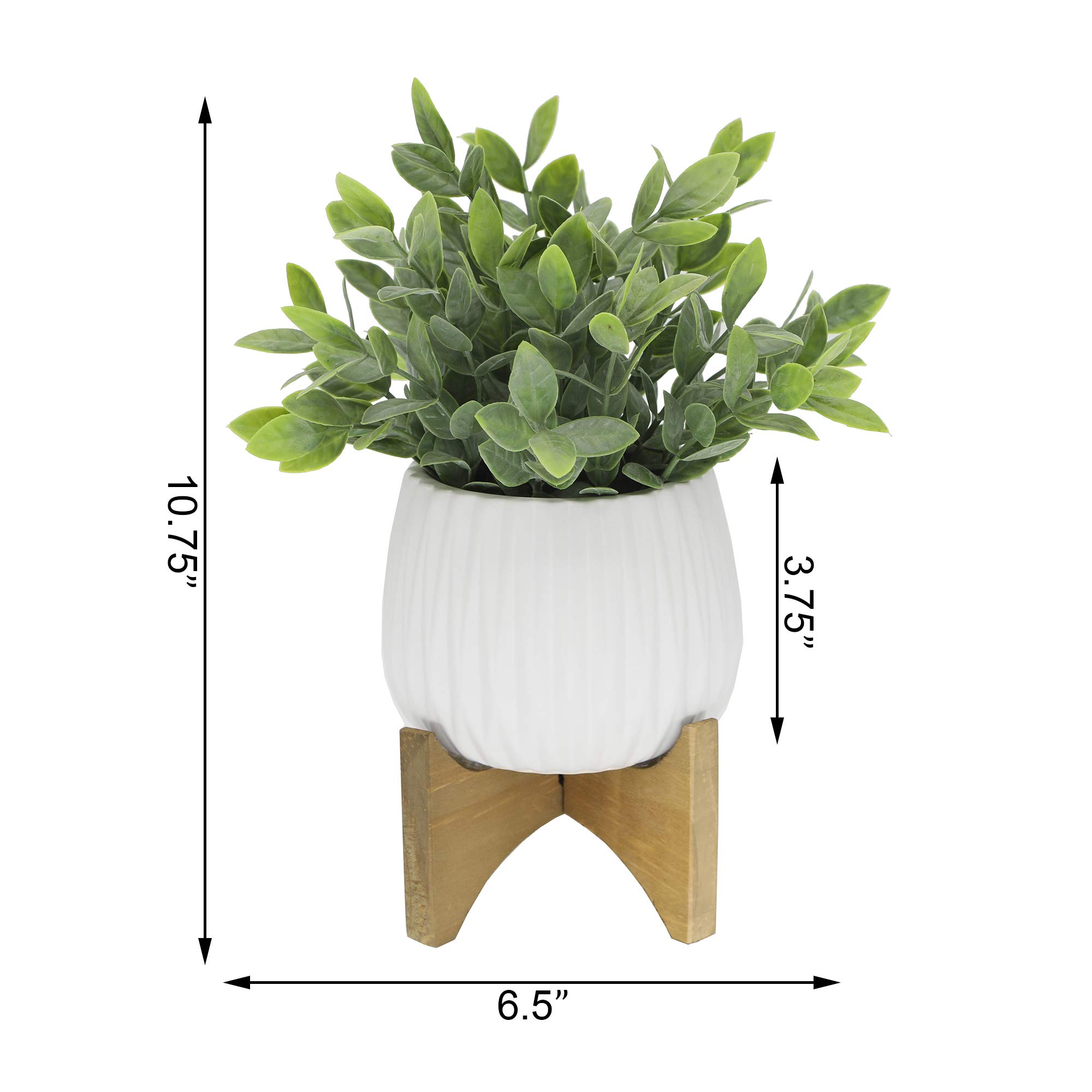 Amazon.com: Flora Bunda Artificial Plant Tea Leaf in 5 in Ridge
