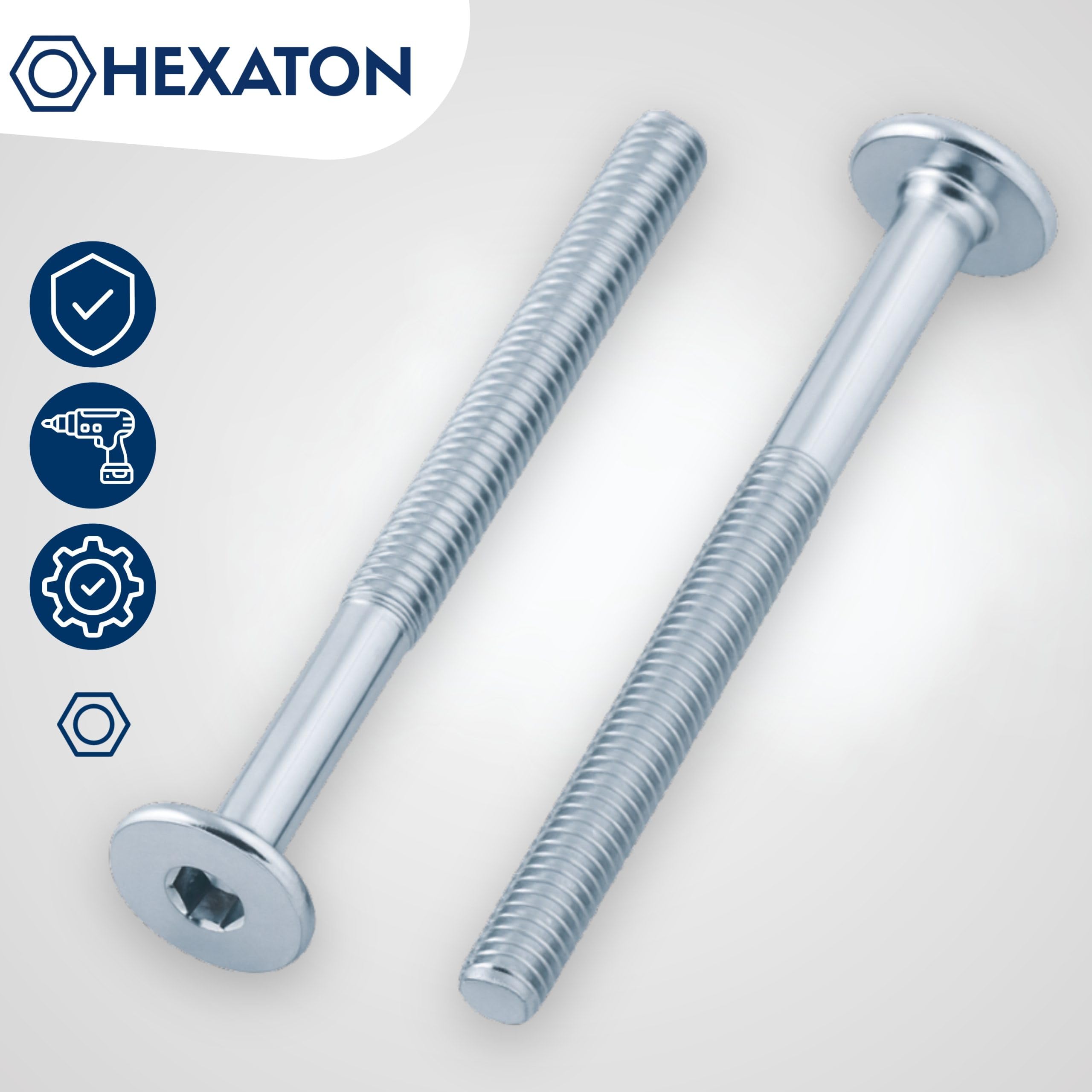 HEXATON Vis Mécaniques M6 x 55 mm – Lot de 50 – Tête Cylindrique à 6 Pans Creux – Acier Zingué Blanc – Filetage Métrique Partiel