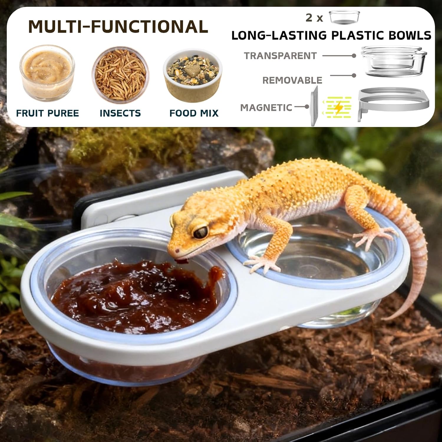 Magnetic Reptile Feeding Ledge with 2 Pack Plastic Bowls Food Feeder Water Dish for Crested Gecko Dwarf Hamster (Green, Magnetic-Mounted)