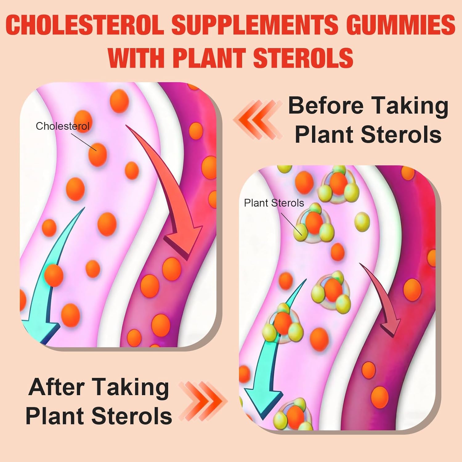 2 Packs Cholesterol Supplements with 2000 Mg Plant Sterols & Stanols, Citrus Bergamot, Red Yeast Rice, Lowering, Mixed Berry Flavor, 120 Counts - Image 4