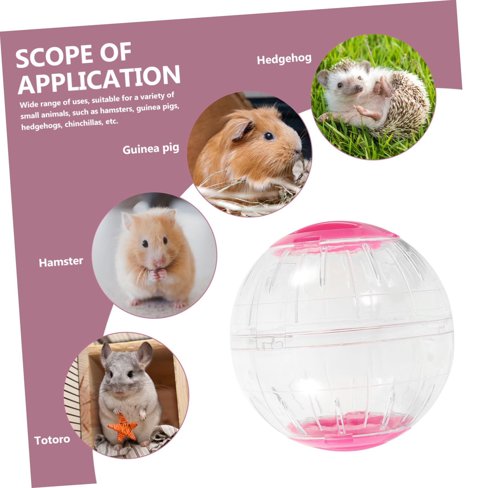 ibasenice 4 Pièces Balle Exercice Transparente pour Petits Animaux Roue Silencieuse Anti-évasion pour Hamster Gerbille Souris et Cochon Activité Sécurisé et Stimulant