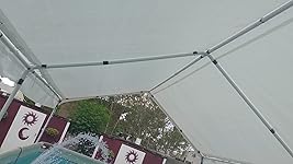 Review Image by Tawni Siebert