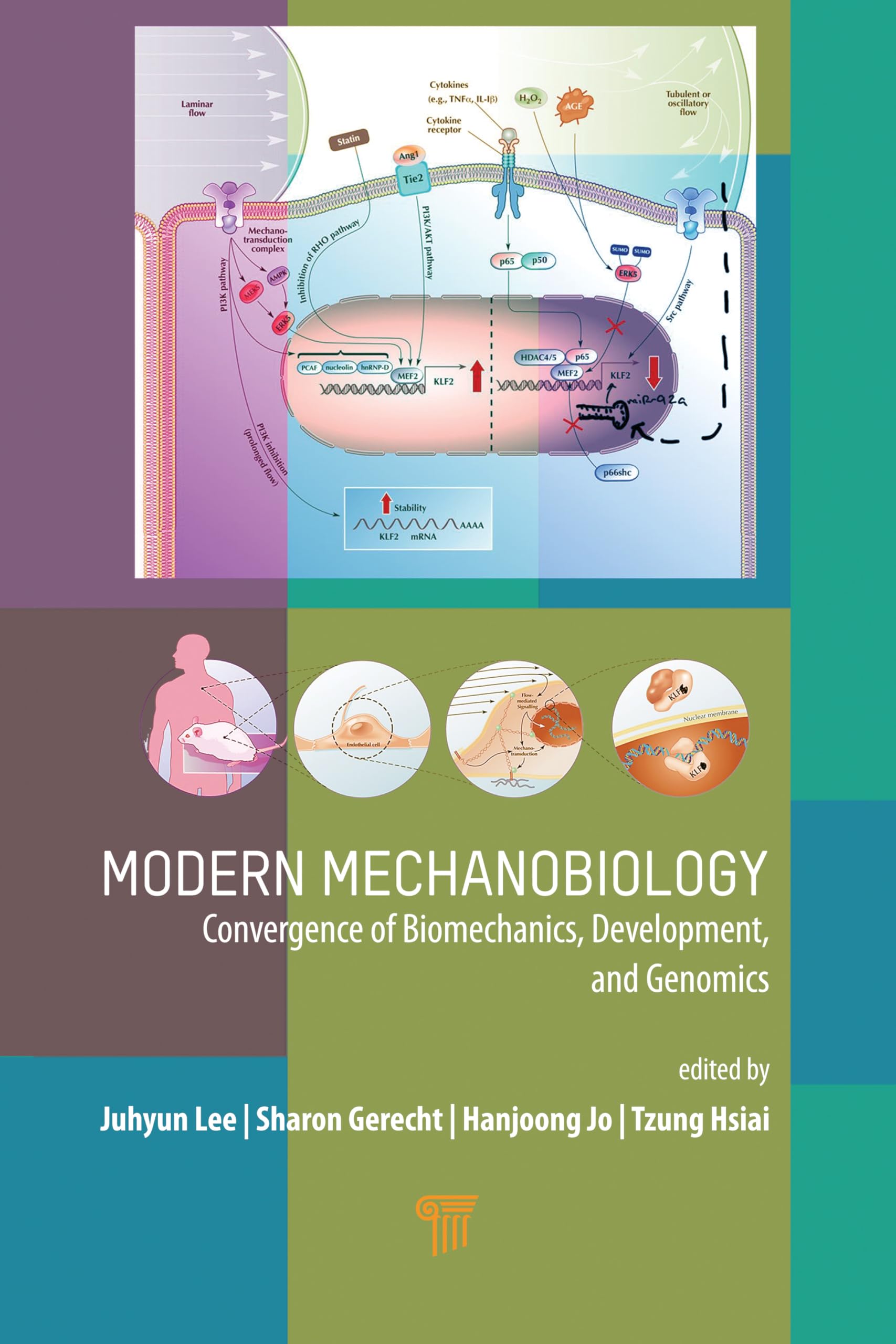 Amazon Modern Mechanobiology Convergence of Biomechanics