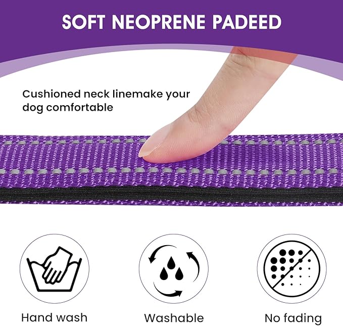 Collar Reflectante para Perro Medio Acolchado Neopreno Nylon Hebilla miniatura 3