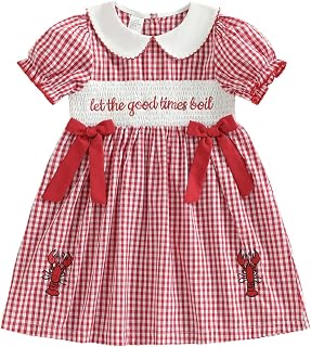 Toddler Little Girls Back to School Outfit First Day of School Dress Short Sleeve Embroidered Smocked Dresses