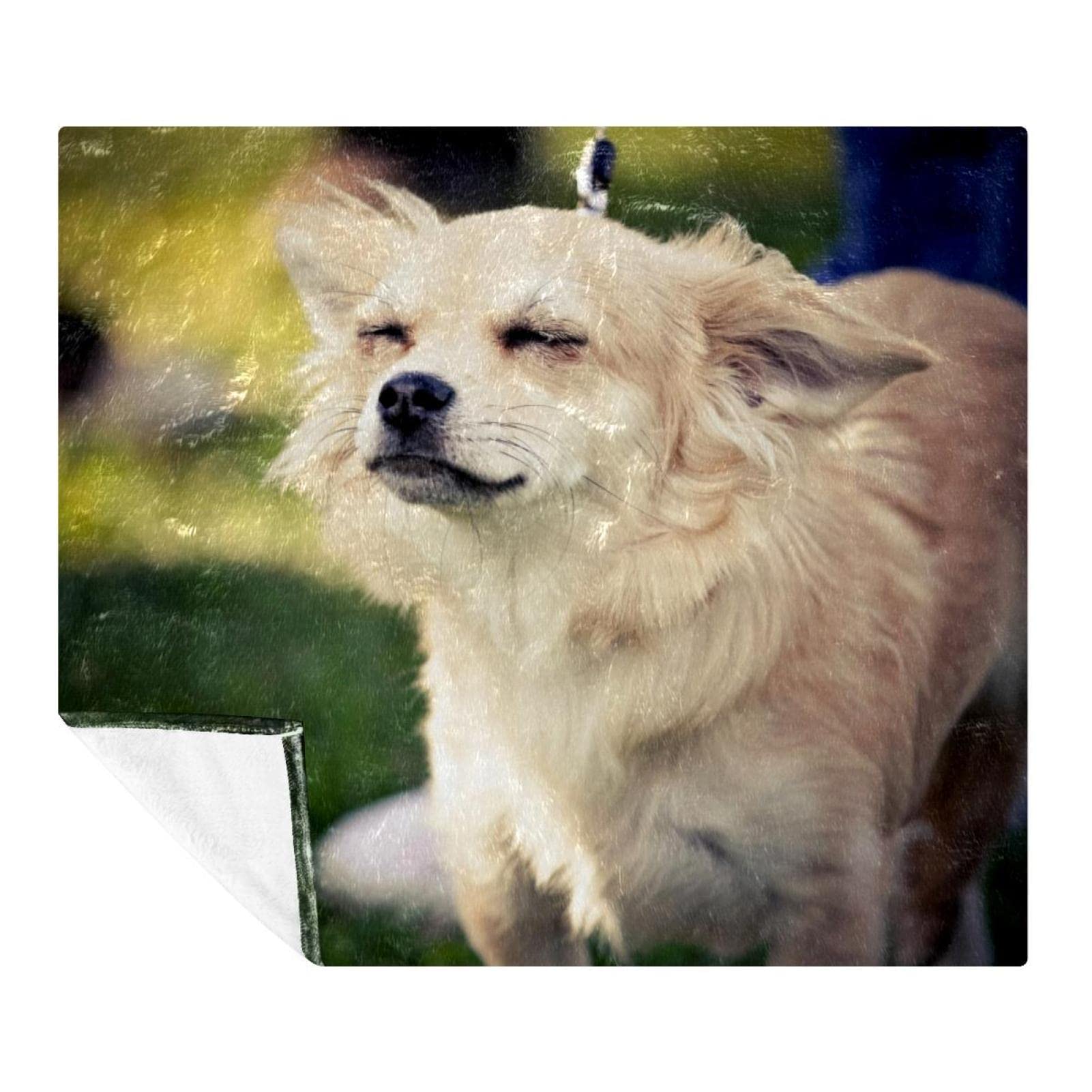 Couverture polaire déco pour canapé et sol de chambre motif chien de compagnie