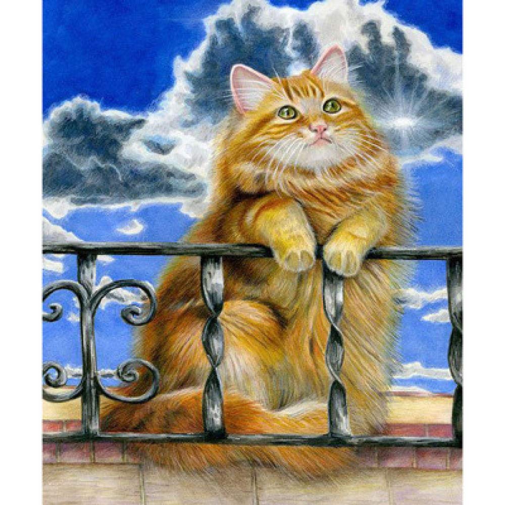 Kit peinture diamant chat orange idée cadeau loisirs créatifs toile 40x50