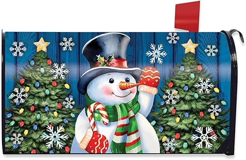 Miniatura 5 de Briarwood Lane Funda para buzón de invierno con muñeco de nieve y Amigo de muñeco,Muñeco de nieve de bast,nieve familia,muñeco de nieve y pájaros,27