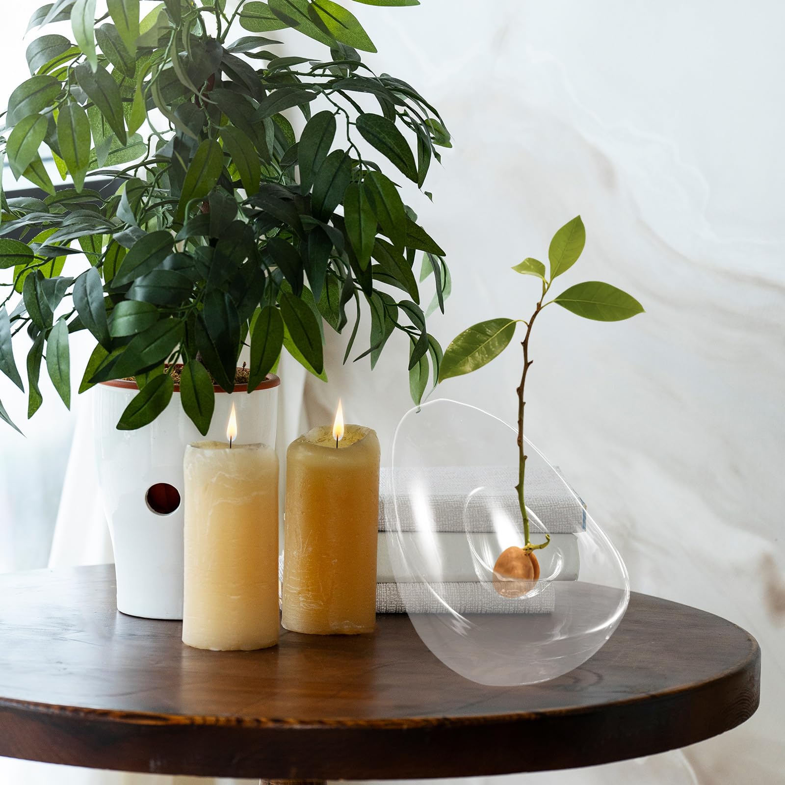 Alipis Vase hydroponique en Verre pour avocatier - Pot de Culture pour avocatier - Vase bulbe en Verre pour la Propagation des Plantes - Décoration de Table